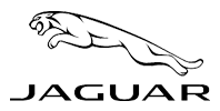 Conceptus-logo-Jaguar-mercadeo-estrategia